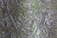 Castlemartin fibreglass roof work